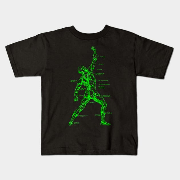Muscular System Kids T-Shirt by GloopTrekker